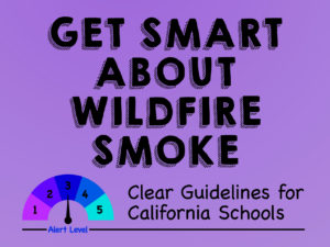 Get Smart Smoke