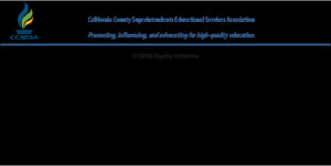 3.3 Equity Initiative Board Item