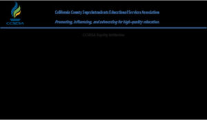 Equity Initiative Board
